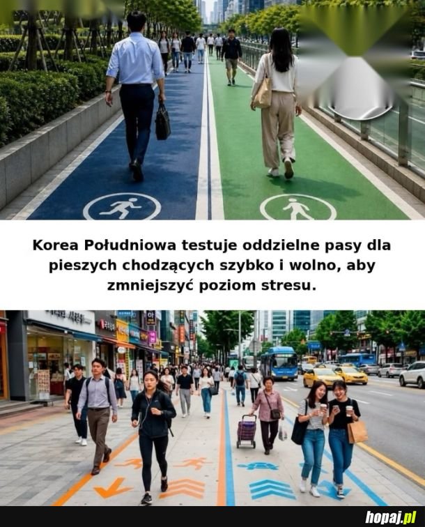 Pasy dla pieszych chodzących szybko i wolno