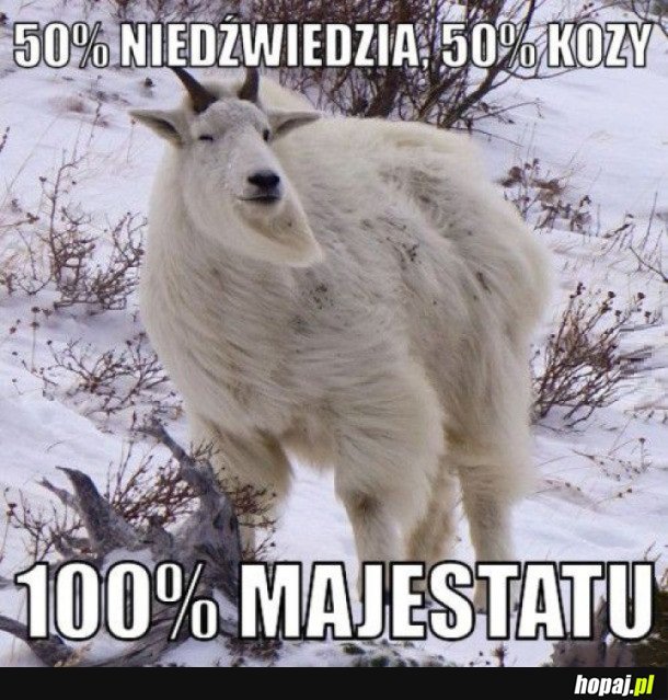MAJESTAT