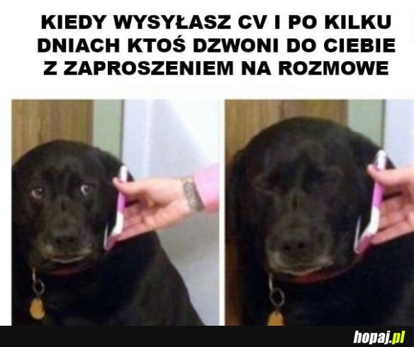 Stresujący moment