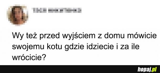 Ja tak mówię mojemu gumowemu kurczakowi