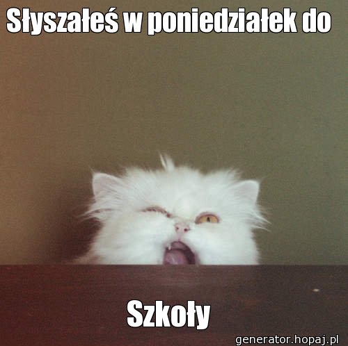 Słyszałeś w poniedziałek do 