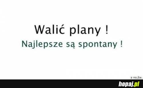 Walić plany!