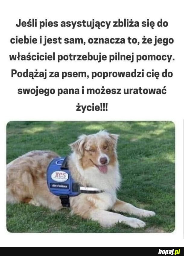 Ważne
