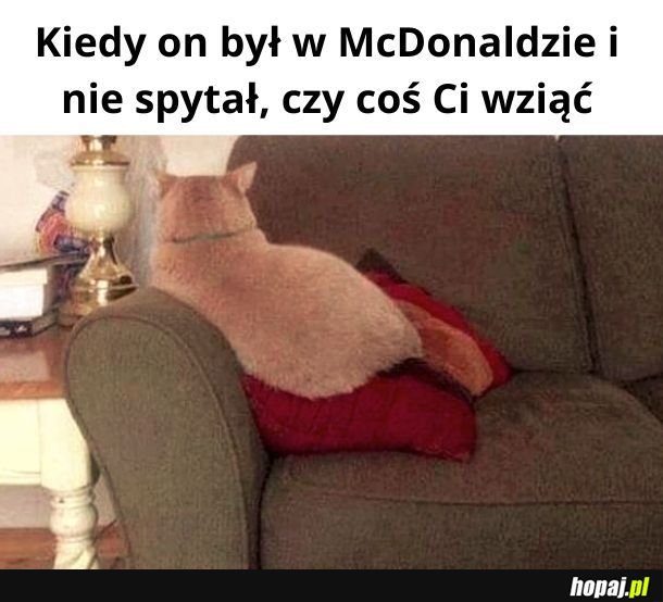 Pyta się o takie rzeczy!