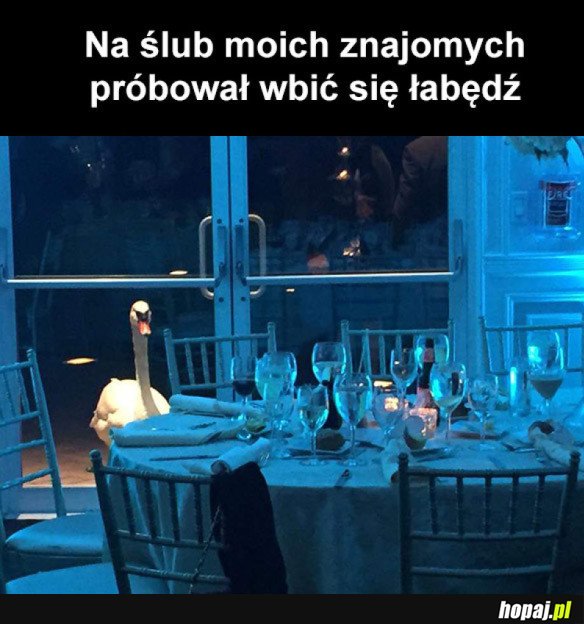 ŚLUB JAK Z BAJKI