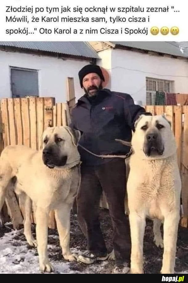 W domu tylko Cisza i spokój
