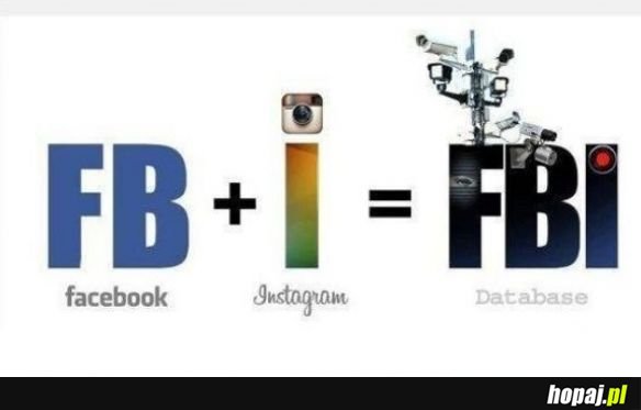 Fejsbuk + instagram