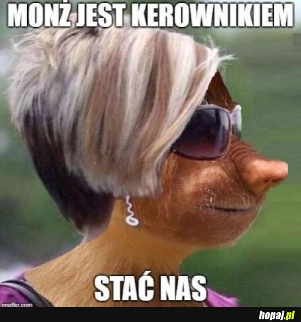 Bogate karyniska