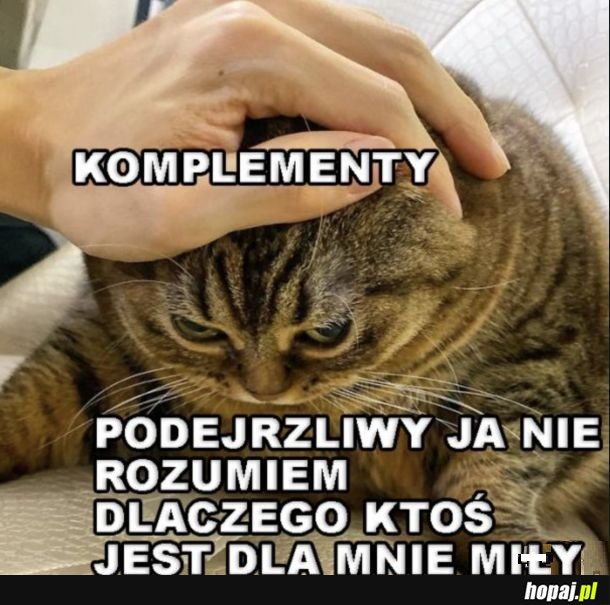 Coś jest nie tak