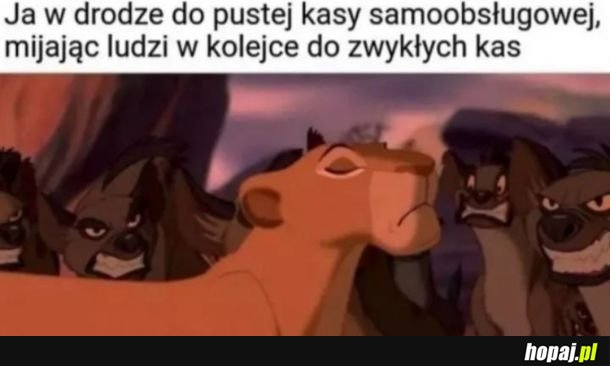 Co sie plebsie gapisz