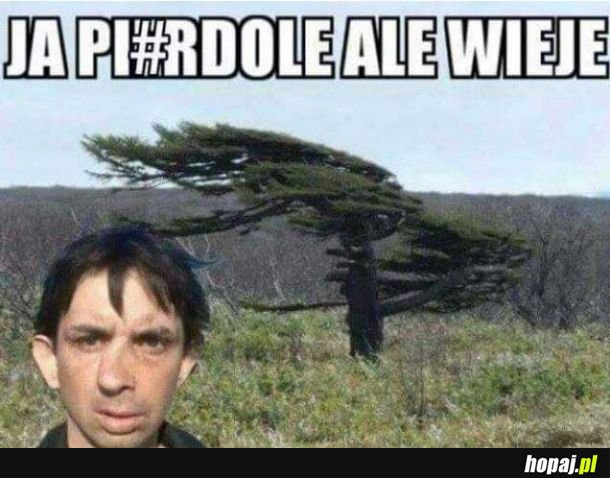 Wiatr