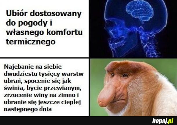 Logika Janusza dziada