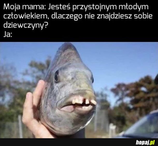 Młody przystojny 