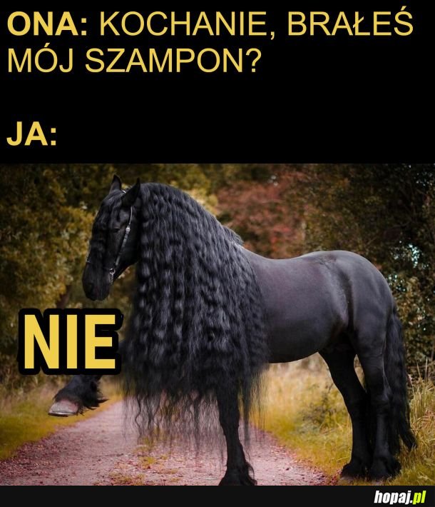 Brałeś mój szampon?