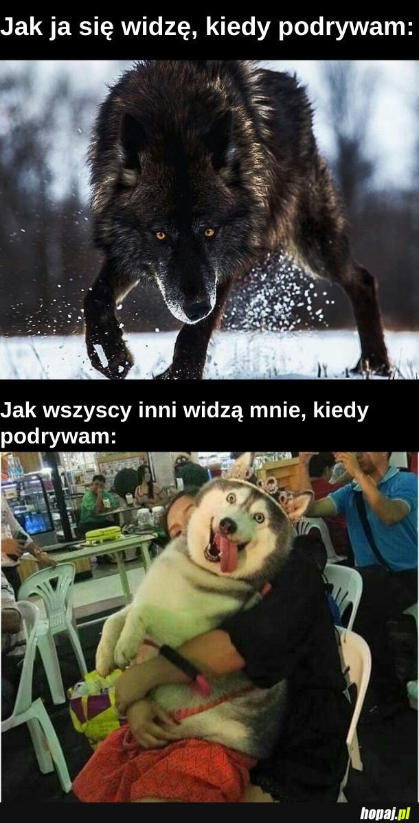 Jestem takim świetnym łowcą, że żadna świnia mnie nie zauważa