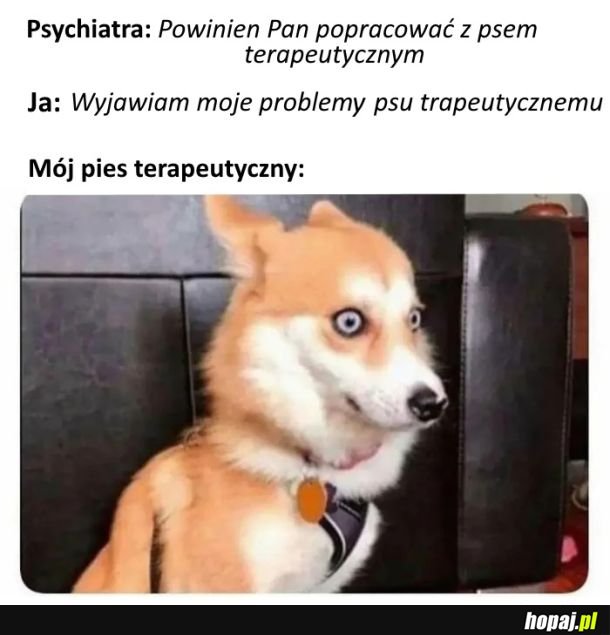 Pies terapeutyczny