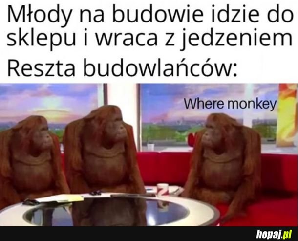 Gdzie małpka? Na trzeźwo się nie da