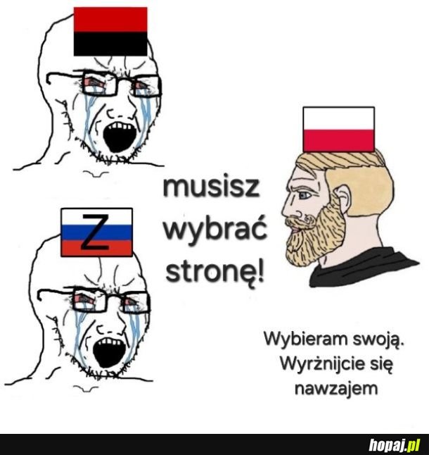 Polak w Polsce gospodarzem