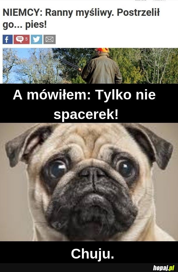 Zobacz, do czego mnie zmusiłeś!