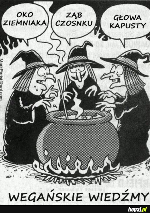 WEGAŃSKIE WIEDŹMY