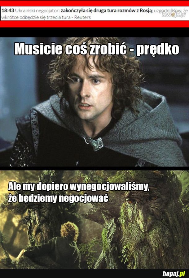 Współczesne enty rosyjskie