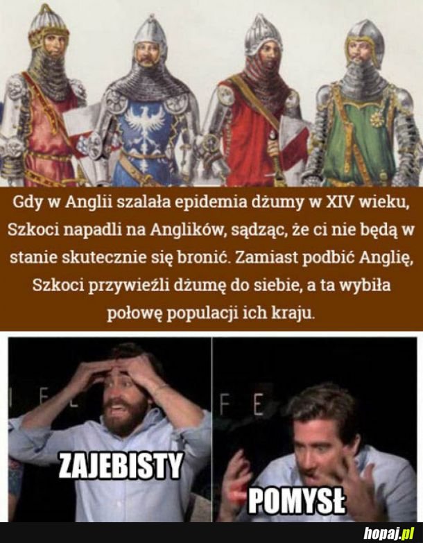 I to jest pomysł