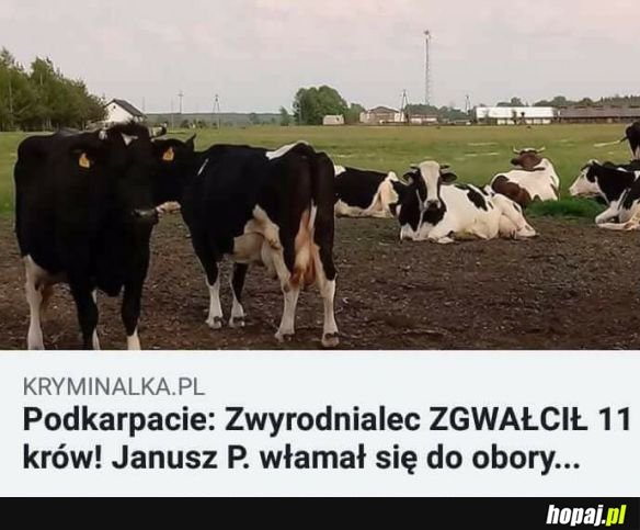 Nieźle się tam bawią