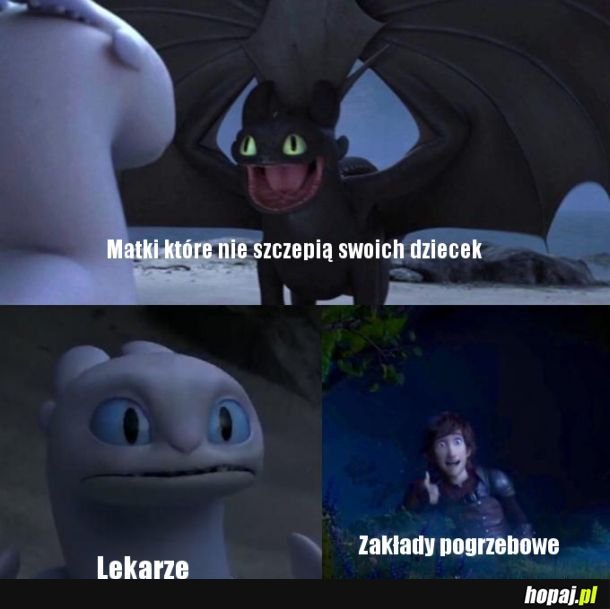  Zarobek
