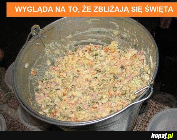 Studenci rozumieją
