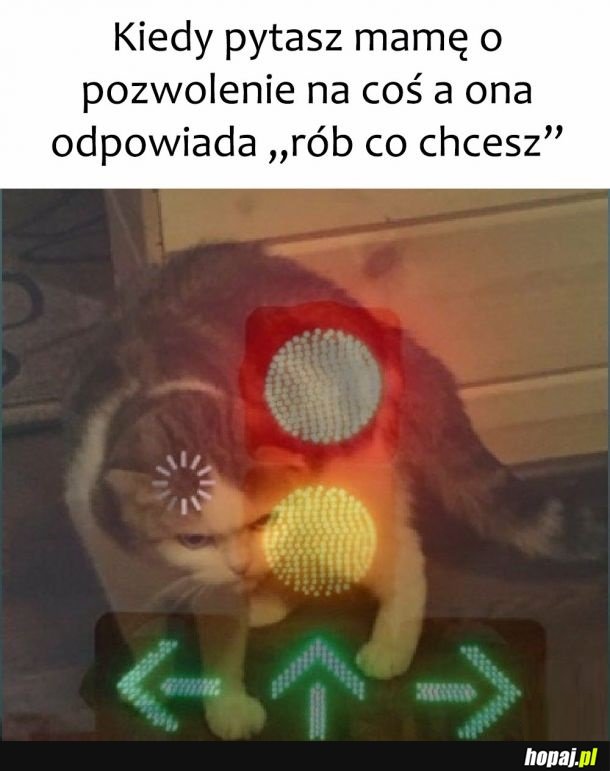 Już nie wiem