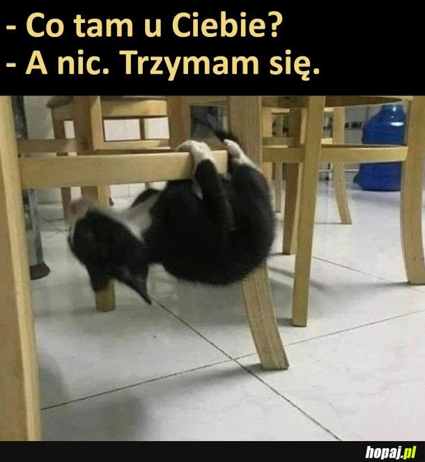 Jakoś się trzymam