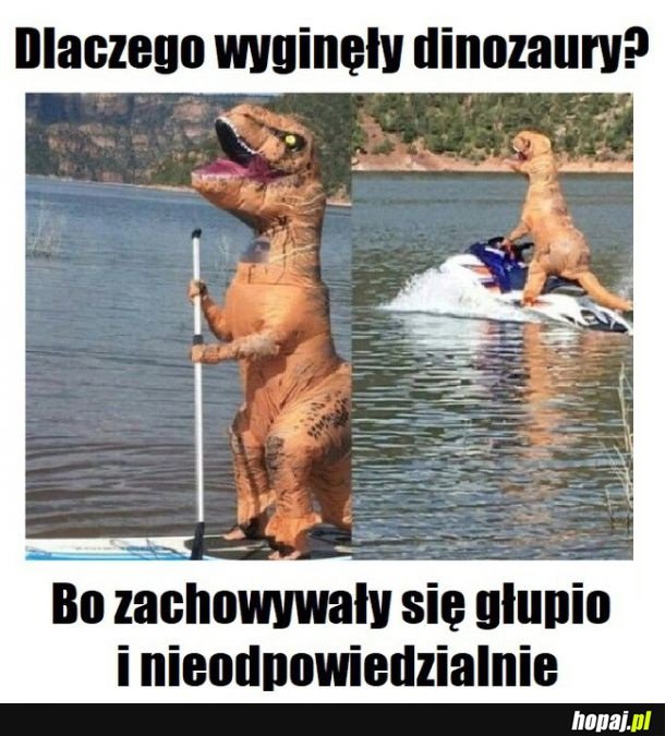 Dinozaury