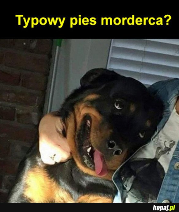 TYPOWY MORDERCA