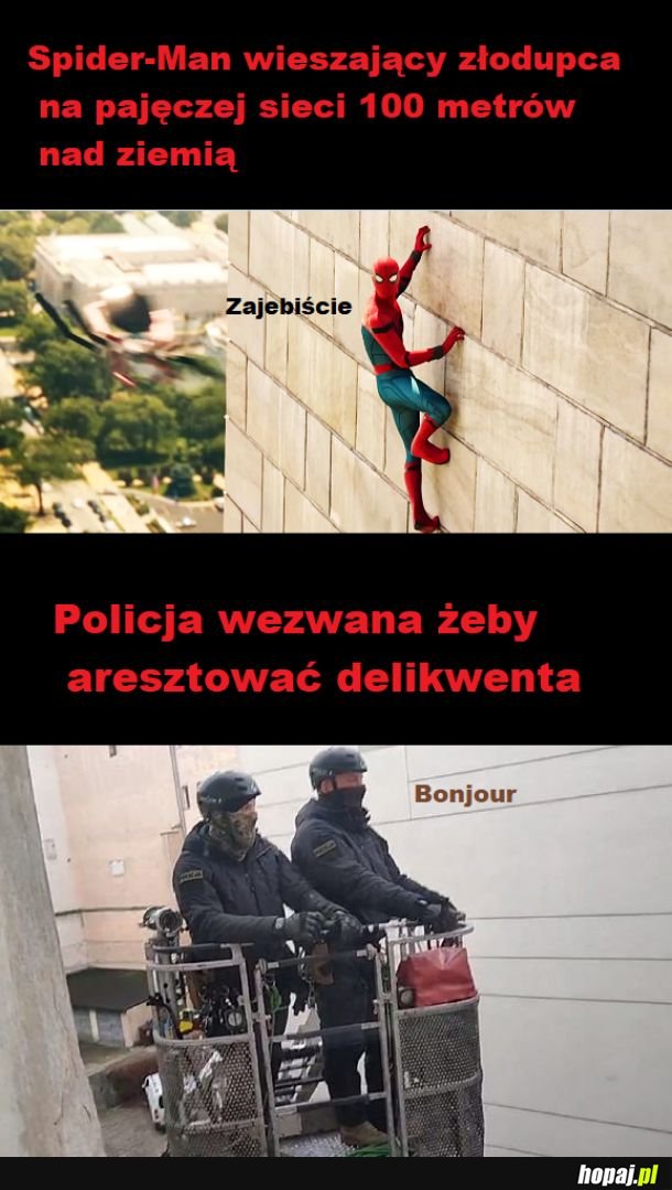 Sieć wieczna nie jest