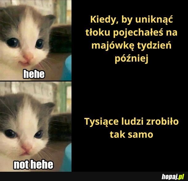 Zły pomysł