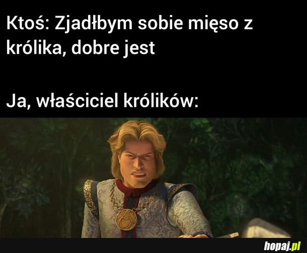 Królik