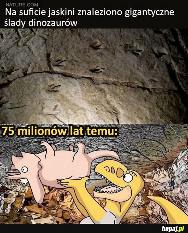 Ślady dinozaurów