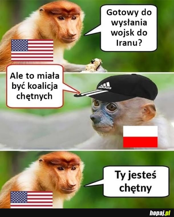 Lecimy