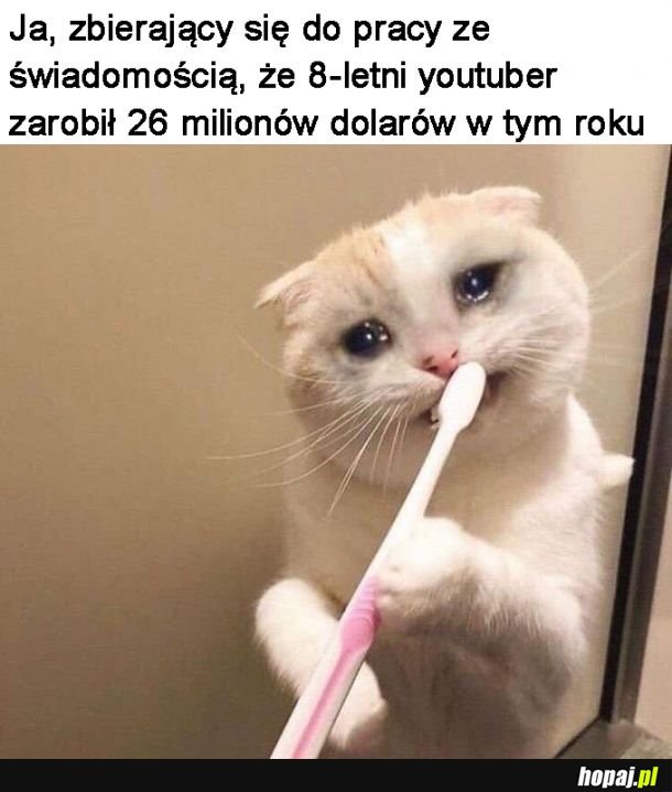 Kontrasty