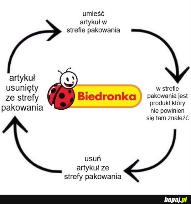 Biedronkowe koło rozpaczy