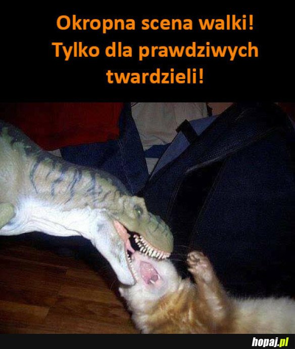 SCENA GROZY