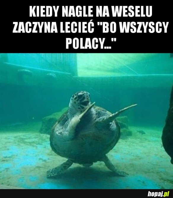 NO TO TAŃCZYMY!