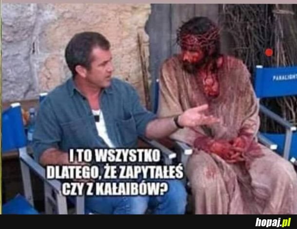 Wszystko przez kałaiby