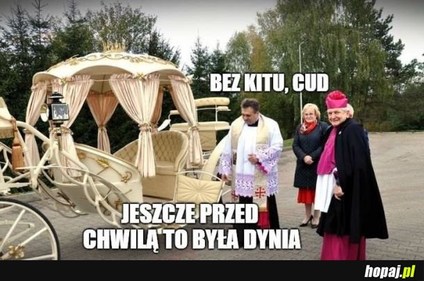 Cuda się zdarzają