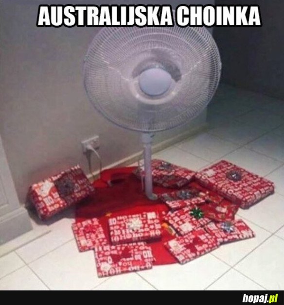 Choinka w Australii