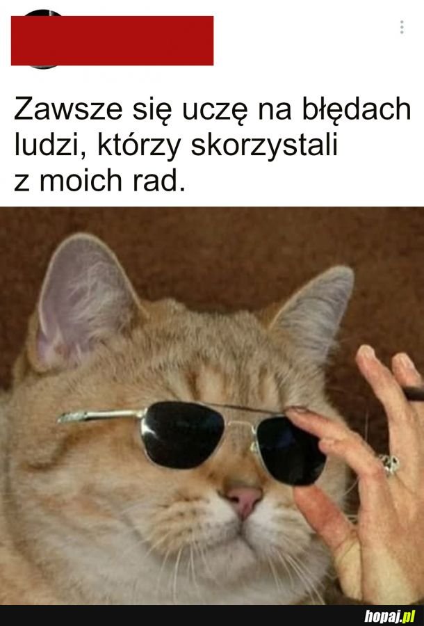 Grunt to uczyć się na błędach