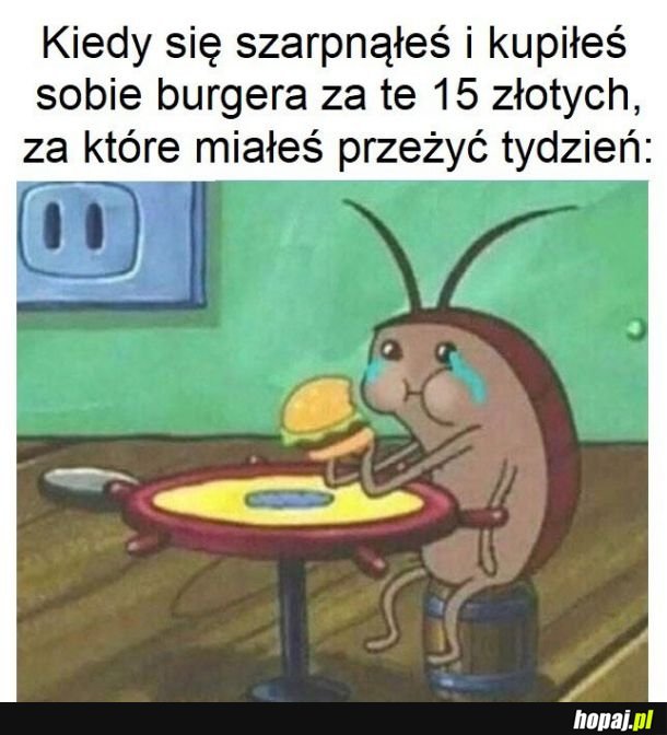Żałuję