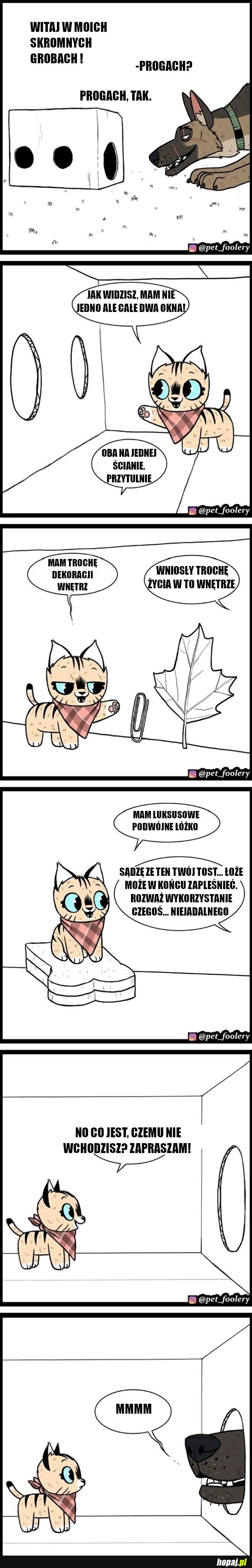 Wjazd na chatę