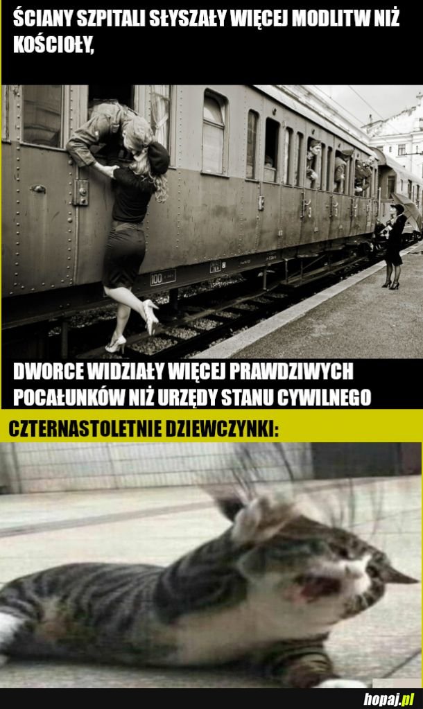 Pocałunki 