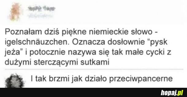 Piękne niemieckie słowo